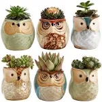 Sun-E SE Owl Pot Ceramic Flowing Glaze Base Serial Set Succulent Plant Pot Cactus Plant Pot Flower Pot Container Planter with Drainage Hole Home