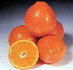 ORANGES LARGE FRESH FRUIT PRODUCE 4 POUND BAG