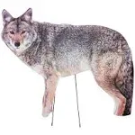 Bird x Coyote Predator Decoy for