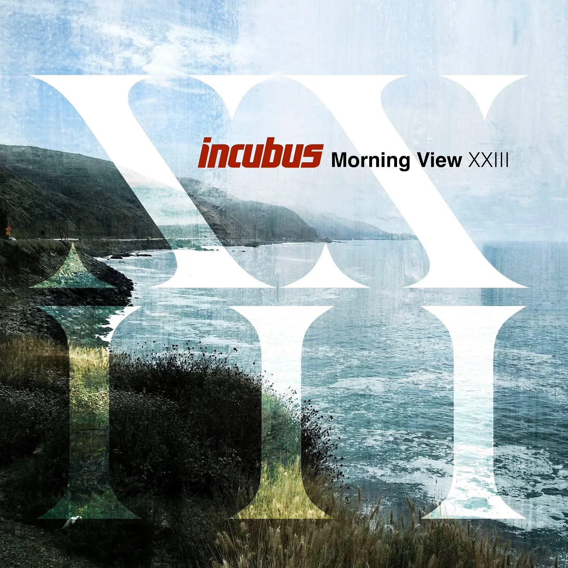 Incubus - Morning View XXIII (Vinyl)