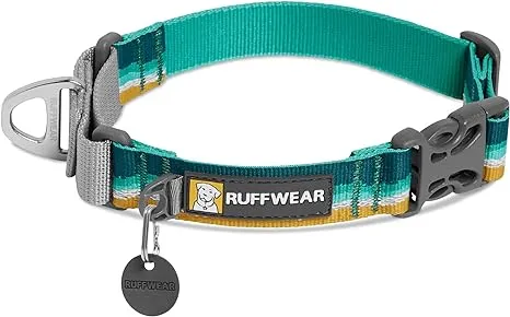 Ruffwear, Web Reaction Dog Collar, Martingale Collar for On-Leash Walking, Basalt Gray, 11"-14"