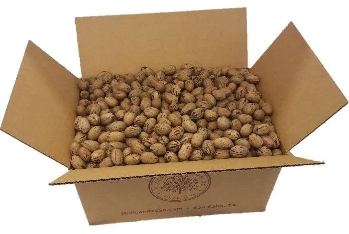 INSHELL Pecan Nuts For Sale | Whole Raw In Shell Pecans