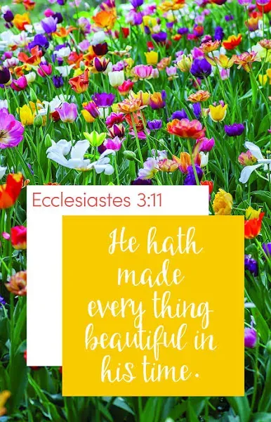 Everything Beautiful Bulletin (Pkg 100) General Worship [Book]