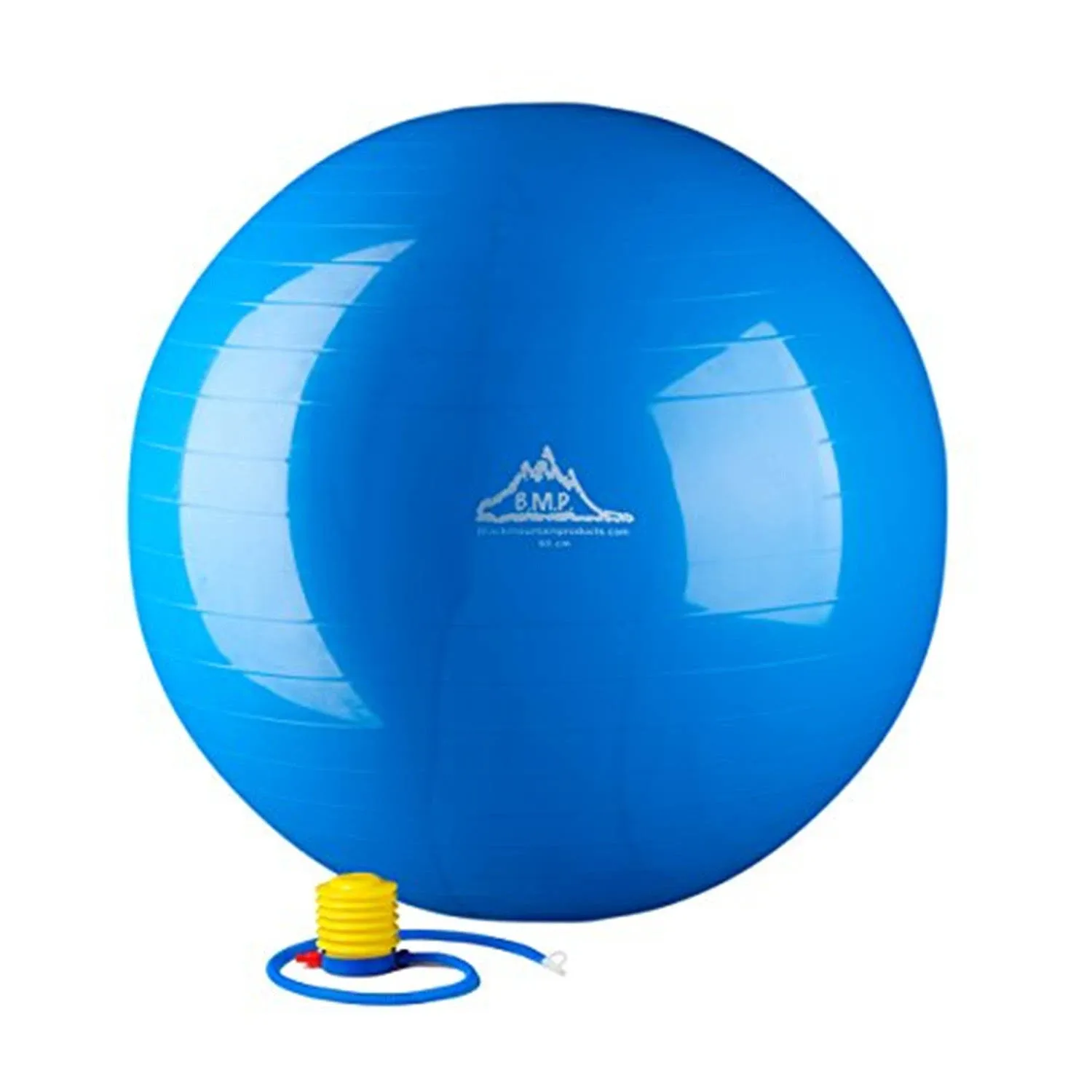 2000lbs Static Strength Exercise Stability Ball with Pump Blue