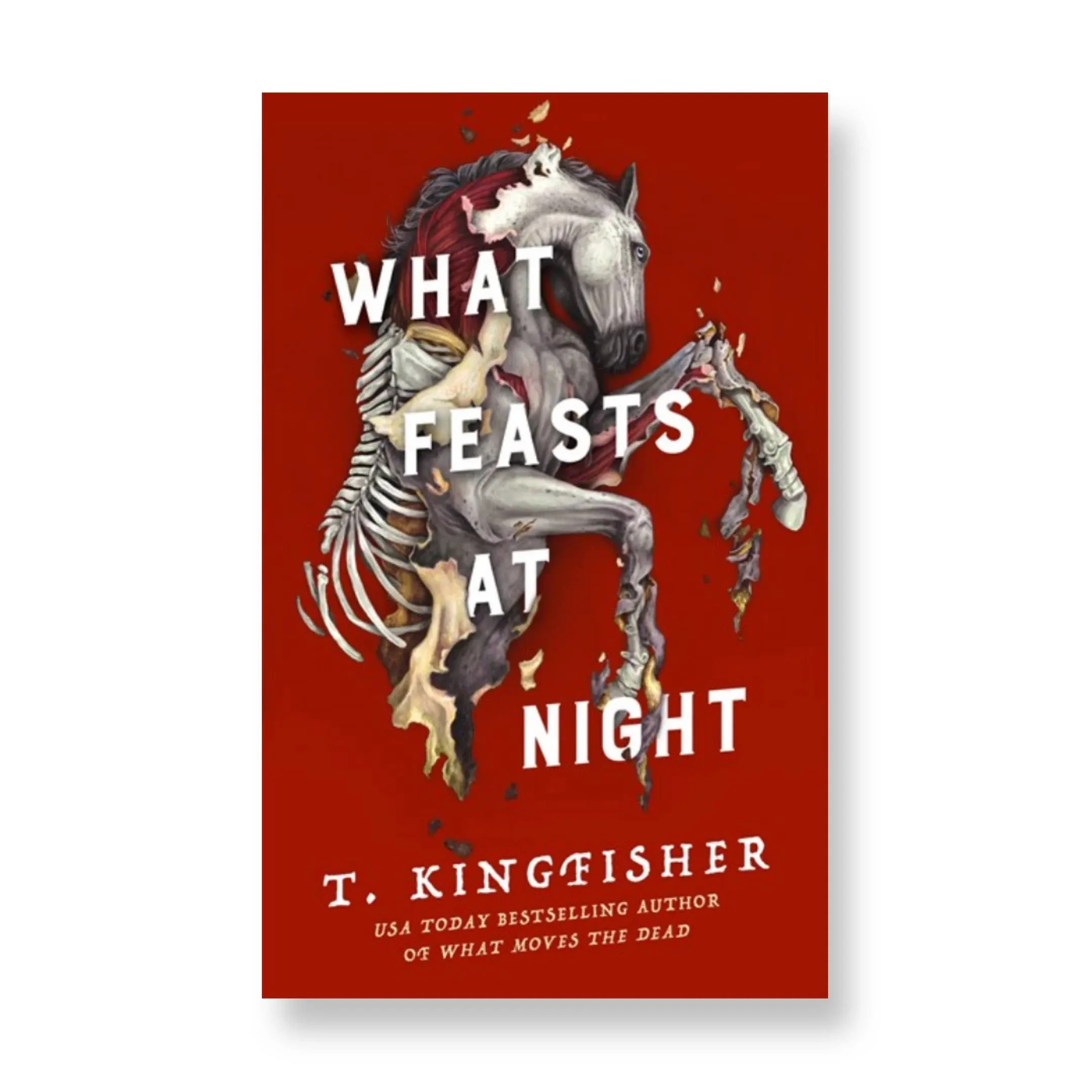 T Kingfisher What Feasts at Night (Gebundene Ausgabe) Sworn Soldier (US IMPORT)