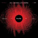 Cinematic Orchestra - Every Day 3LP NEW 20th Anniversary Edition