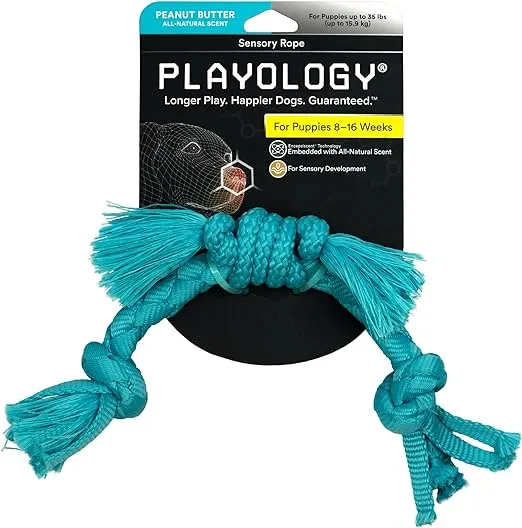 Playology Puppy Sensory Rope Peanut Butter Dog Toy, Blue, Small