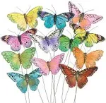 Beautiful Set Of 12 Colorful Feathers Pick Butterfly With Assortment Home Decor