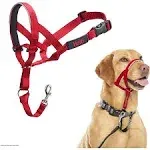 Company Of Animals Halti Headcollar Adjustable Size 3 Red Padded No Pull Train