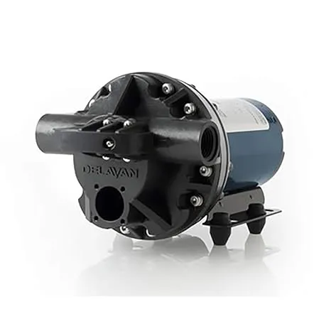 Delavan PowerFlo 5800 Series Diaphragm Pump, 5850-201C-SB