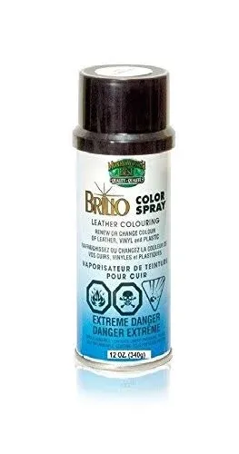 Moneysworth & Best Brillo Leather/Vinyl/Plastic Color Re Spray Dye/Paint 12 oz, Black