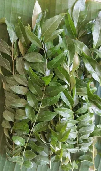 Fresh Curry Leaves 2 oz.