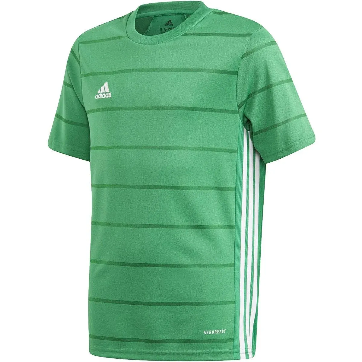 Youth Campeon 21 Jersey - Team Green