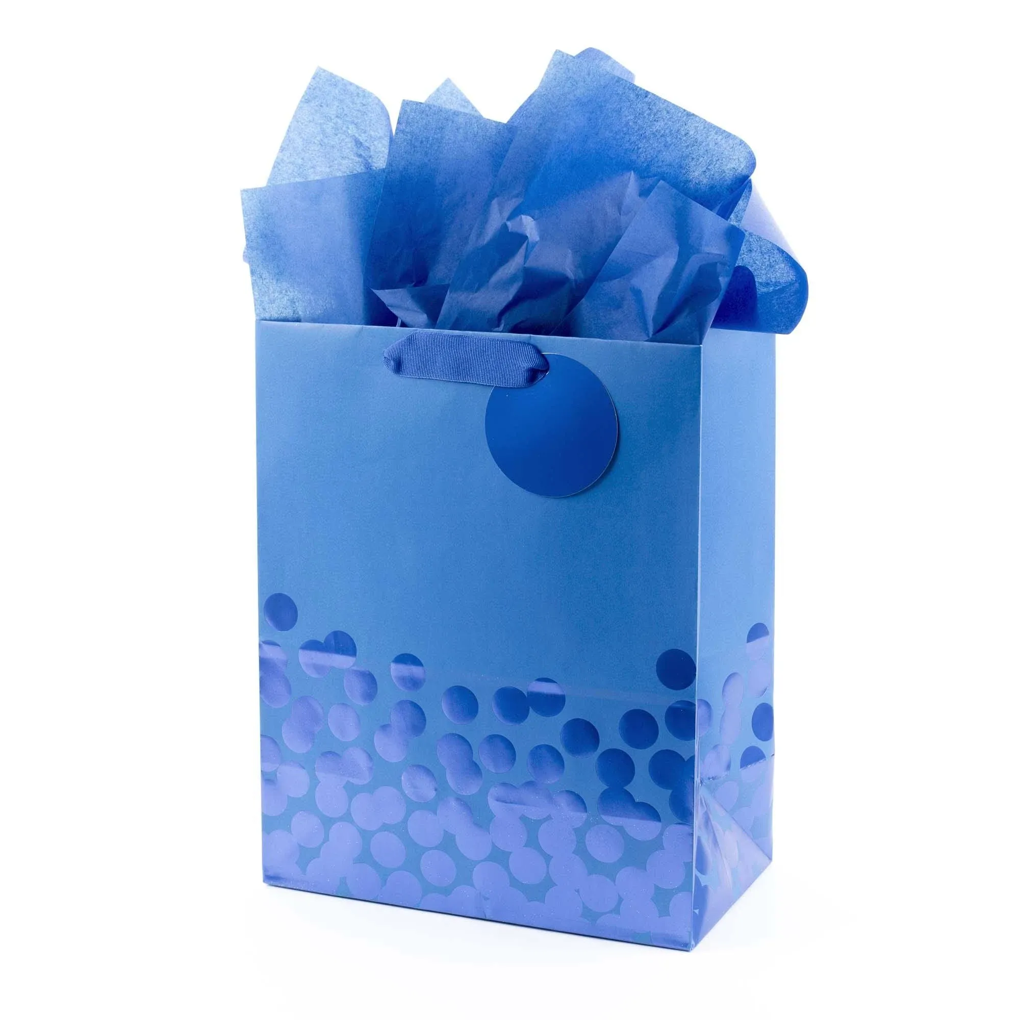 Hallmark Large Gift Bag with Tissue Paper (Blue Dots)