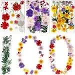 BIHRTC 100pcs Pressed Flowers Resin Flowers Real Pressed Flowers Dry Leaves Resin Decor for Scrapbooking DIY Candle Accessories Jewelry Crafts Making DIY Art Crafts Cake Decor