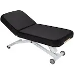 Earthlite Electric Massage Table Ellora - The Quietest, Most Popular Spa Lift Hydraulic Massage Table - Made in Usa/Customer Service