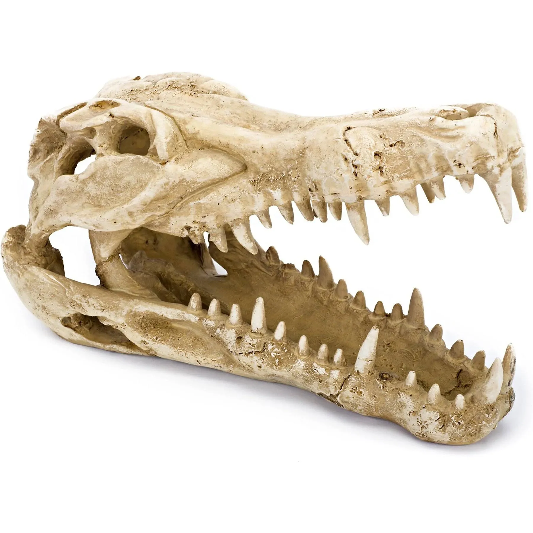 Penn Plax Crocodile Skull Aquarium Ornament