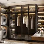 Black Wood 59.1 in. W Tempered Glass Doors Wardrobe Armoires Aluminum Frame with LED Lights, Hanging Rods and Shelves