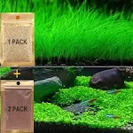 Jialiu 3 Pack Aquarium Plants See DS Live Aquarium Grass See DS for Fish Tank ...