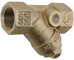 Watts LF777SI Lead Free Wye Strainer