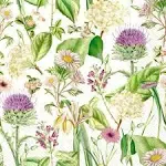 IHR Ideal Home Range - Paper Napkins WILDFLOWER cream 20-Count 3-Ply Cocktail Napkins 5 x 5 inches