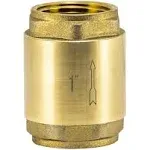 EZ-FLO Brass In-Line Check Valve, 1 Inch IPS, Stainless Steel Spring, 20405LF