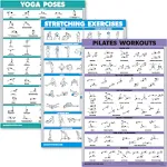 QuickFit 3 Pack - Yoga Poses + Stretching Exercises + Pilates Mat Work Poster Set - Set of 3 Workout Charts (LAMINATED, 18" x 27")