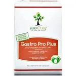 pawTree Gastro Pro Plus - Probiotics and Digestive Enzymes for Dogs and Cats - 60 Count