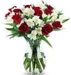 Benchmark Bouquets Classic Roses & Alstroemeria, Next Day Prime Delivery, Fresh Cut Flowers, Gift for Anniversary, Birthday, Congratulations, Get