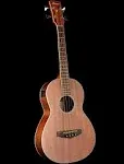 Ibanez PCBE12MH Acoustic-Electric Bass - Open Pore Natural