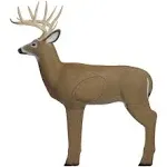 shooter Crossbow Buck Target