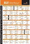 NewMe Fitness Workout Posters for Home Gym - Exercise Posters for Full Body Workout - Core, Abs, Legs, Glutes & Upper Body Training Program