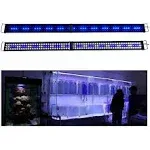 Kzkr LED Aquarium Hood Lighting 72-78 inch Fish Tank Light Lamp for Freshwater Marine Saltwater Blue and White Decorations Light 6-7ft (34w) 180cm - 2