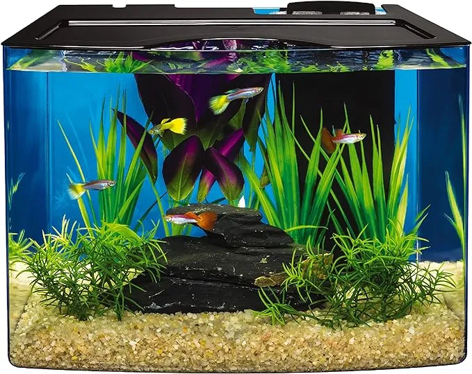 Tetra Aquarium Kit, Fish Tank with Filter & Lights 3 Gallon