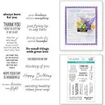 Spellbinders Clear Acyrlic Stamps by Bibi Cameron-Hummingbird Sentiments