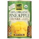 Native Forest Organic Papaya Chunks 14 Ounce Cans (Pack of 6)