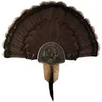 Walnut Hollow Country Turkey Fan Mount & Display Kit Oak with Drumsticks Image