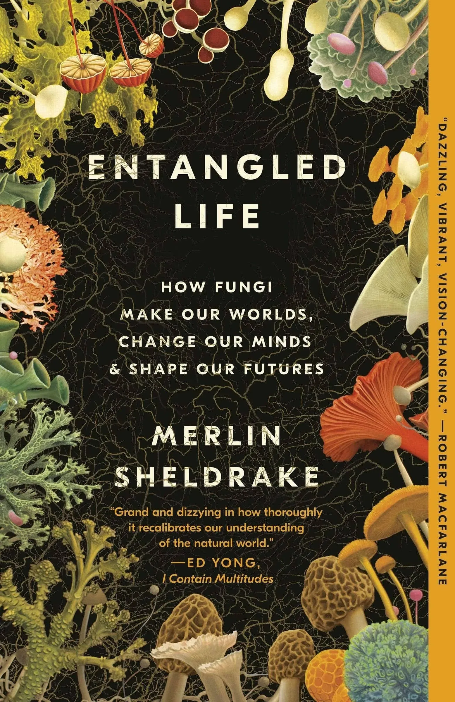 Entangled Life: How Fungi Make Our Worlds, Change Our Minds & Shape Our Futures [Book]