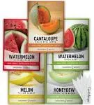 Melon Fruit Seeds for Planting Home Garden 5 Variety Packs - Hales Bes