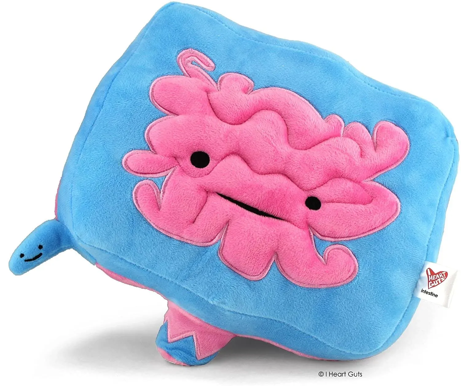 Immense Intestine Plush - Go with Your Gut! - I Heart Guts Series