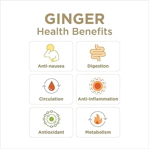 GIN GINS Crystalized Ginger – Natural Ginger Candy by The Ginger People – Individually Wrapped Healthy Candy – 3.5 oz Bags – (Pack of 1)