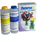 Encapso K - Water Clear Encapsulation/Display Rubber - Pint Unit