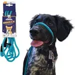 Heather\'s Heroes Sidekick Mini Turquoise Dog Leash 1/4" x 6\