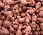 Three Red Jerusalem Artichoke Tubers (Organic) - Hardy Red Fuseau Variety - (Sunroot 'chokes or Sunchoke) by Yumheart Gardens