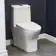 Sublime II One-Piece Round Toilet Dual-Flush 1.1/1.6 gpf