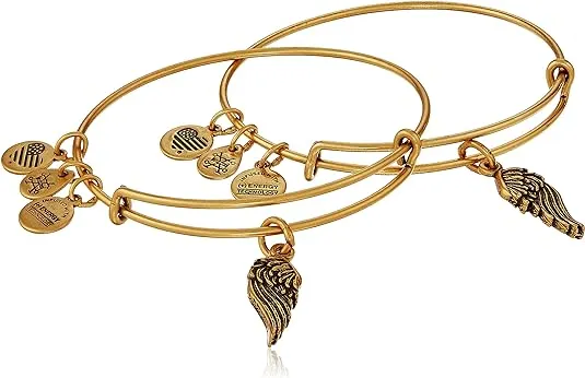 ALEX AND ANI Wings Charm Set of 2