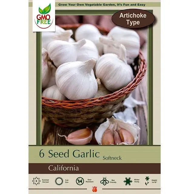 California Softneck Garlic Bulbs - 6 Jumbo Bulbs