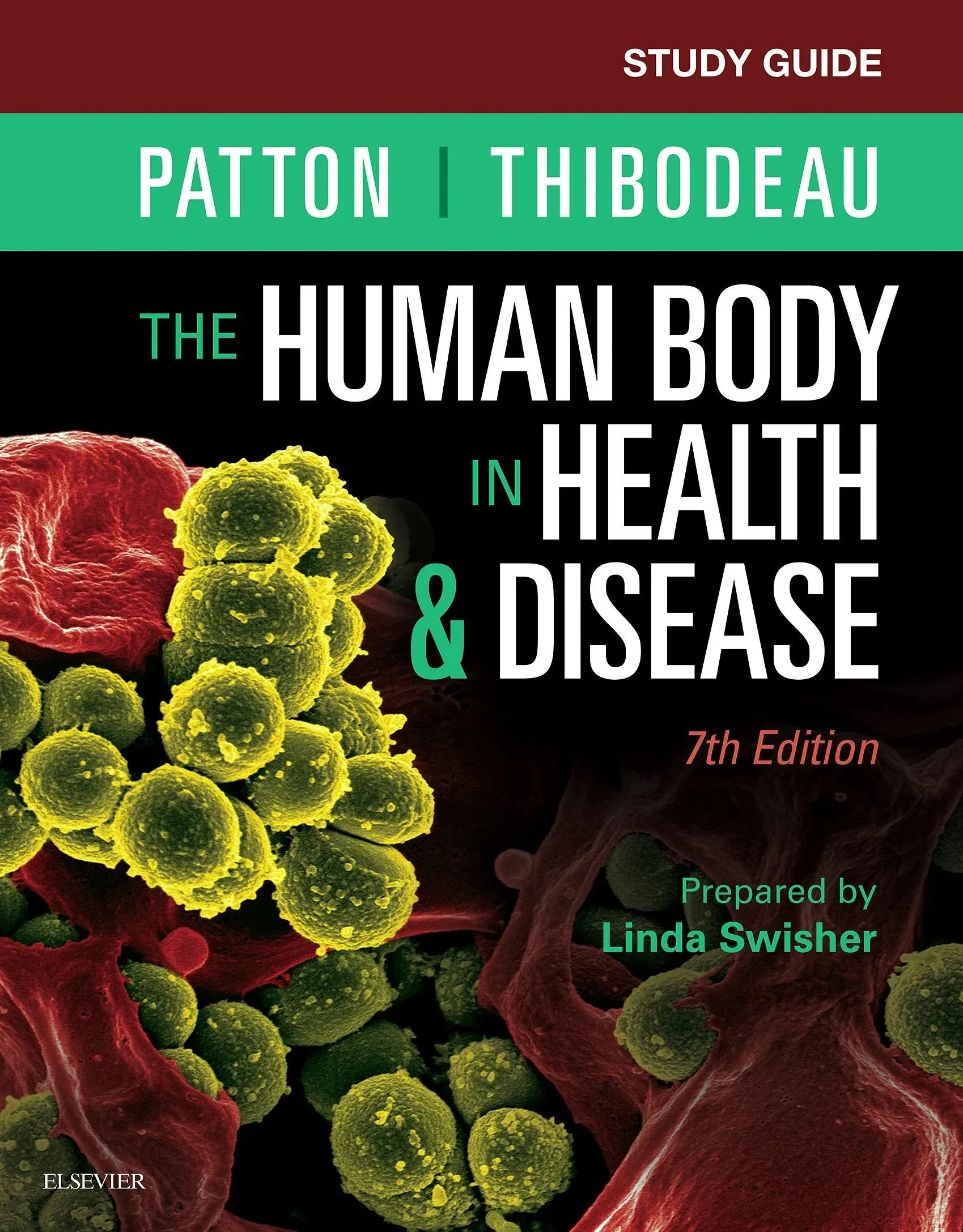 Study Guide for the Human Body in Health and Disease [Book]