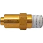 Simpson 7101359 - EW 1/4 in. NPT Thermal Relief Valve