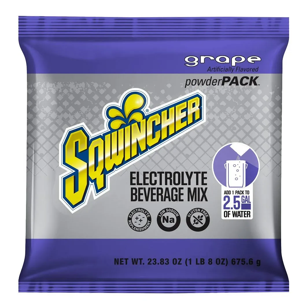 Sqwincher Powder Pack Fruit Punch